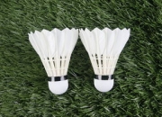 九游娱乐app下载-中国羽毛球队完胜英格兰羽毛球队，桃田贤斗关键制胜