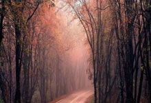 九游体育官方入口-内马尔替补点杀旧主！赛后采访哽咽：我逃出了金笼子