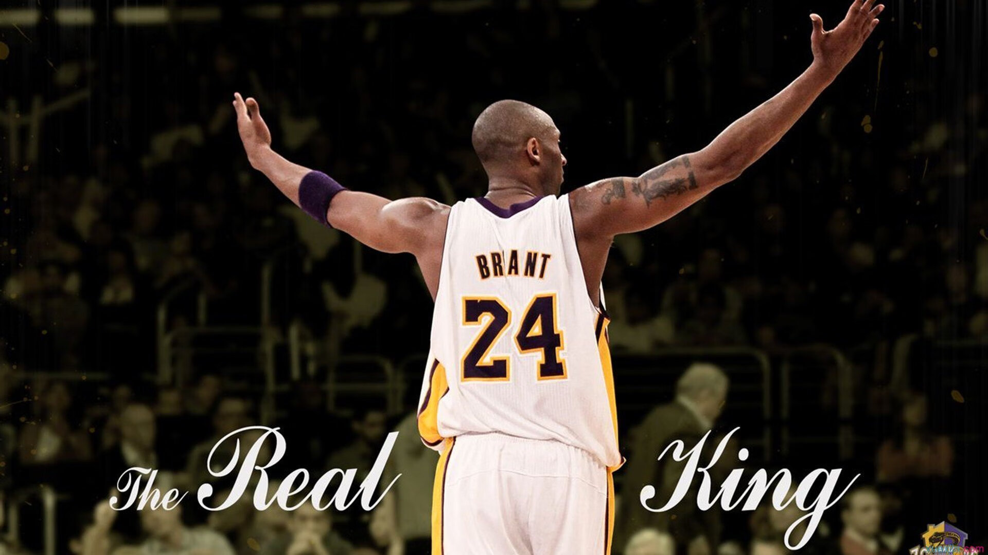 天山脚下诞生的奇迹，新疆队力克国王，德罗赞加冕关键先生